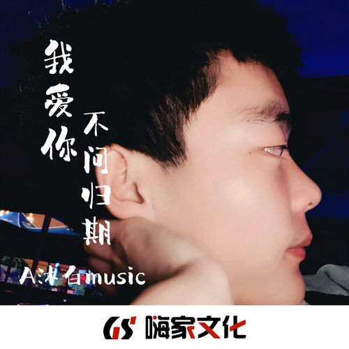新版爱你不问归期，短剧全集剧情信息大全资讯--第1张
