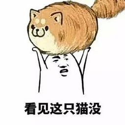糟糕我好像恋爱了表情包剧情简介--第1张