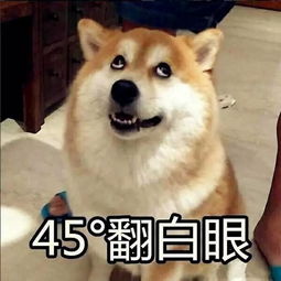 糟糕！我被女神包围了短剧全集剧情信息大全资讯标题。--第1张