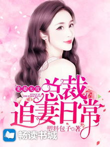 重生辣妻宠无度免费阅读 重生辣妻当家，短剧全集剧情信息大全资讯--第1张
