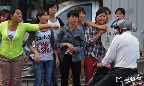 海小姐跑不掉啦s有水印短剧全集剧情信息大全资讯 海小姐海鲜汇--第1张