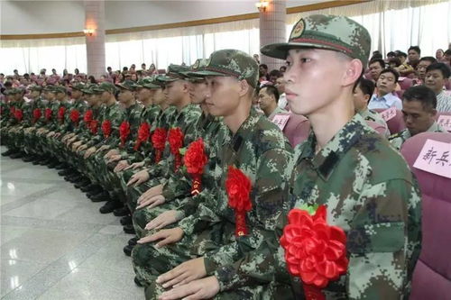 新逆袭的村庄，新兵的成长之路--第1张
