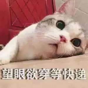 等不到你的晚安短剧全集剧情信息大全资讯的标题，等不到你的晚安表情包剧情简介--第1张
