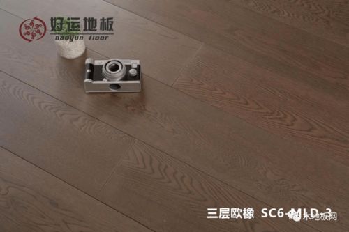 闪婚首富和我老公竟如此相似--第1张
