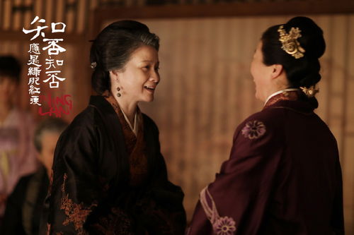 和离以后夫人惊艳了世界--第1张