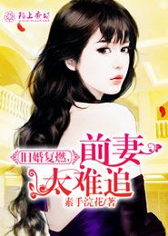 封总前妻太难追短剧全集剧情信息大全资讯 封总的小说--第1张