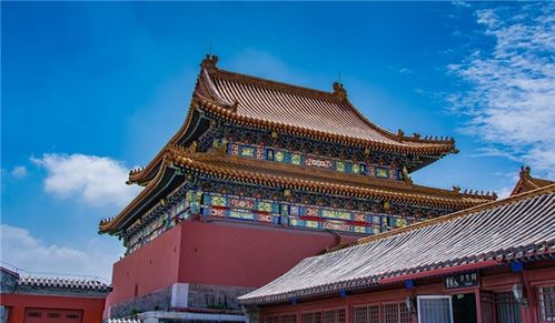 万神殿之教主短剧全集剧情信息大全，万神殿的教主传奇--第1张
