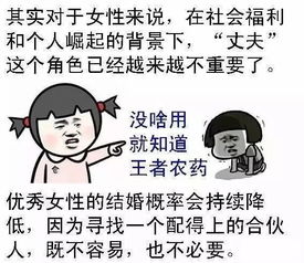 离婚后三个大佬团宠我 剧情简介--第1张