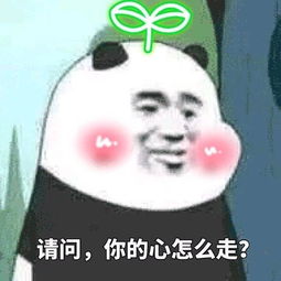 哥哥放过我，短剧全集剧情解析--第1张