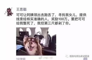 刘二狗的开挂人生，草根逆袭记--第1张
