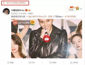 离婚后我带着两个小魔王虐遍全球，离婚后的新生活--第1张