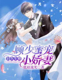 顾少的宠妻，实习小娇妻的逆袭之路--第1张
