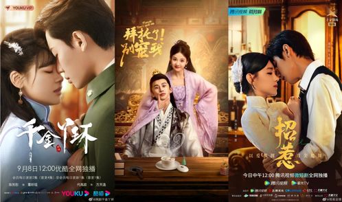 大夏无双君主短剧剧情简介--第1张