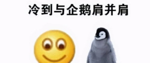 被渣后我成了大佬的心上人免费阅读 被渣后年下大佬把我宠上天热播短剧剧情--第1张