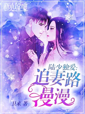 陆总的漫漫追妻路，霸道总裁的甜蜜爱情故事--第1张