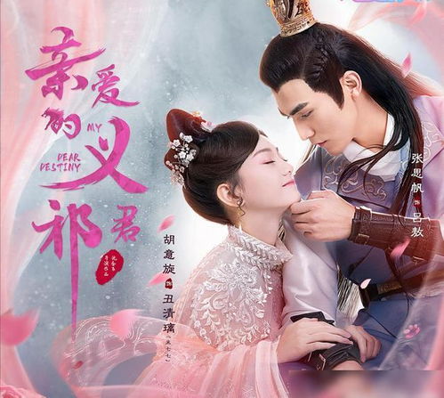 穿越古代成为太子妃，一场权谋与爱情的较量--第1张