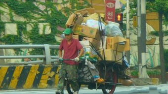 仙界捡破烂热播短剧，废品仙子的奇幻之旅--第1张
