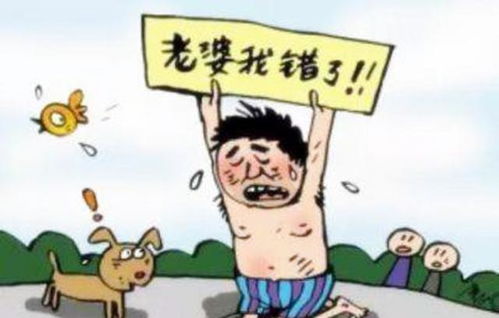 君总夫人带着少爷回家，一段甜蜜又充满挑战的婚姻生活--第1张