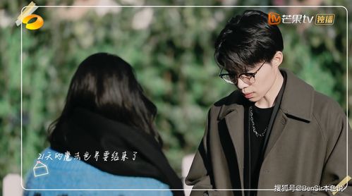 爱在怦然心动时短剧剧情介绍--第1张