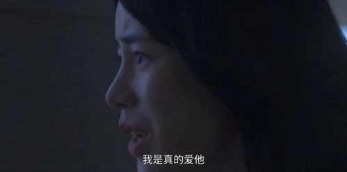  黑暗荣耀之复仇女财阀，听闻爱情如愿以偿离婚后，前夫跪求复合--第1张