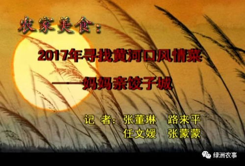 我在黄河口等你歌谱 我在黄河路当首富热播短剧剧情--第1张