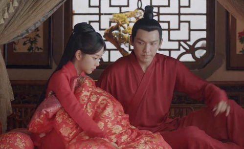 婚后宠爱，只羡鸳鸯不羡仙，侯爷宠妻无度--第1张