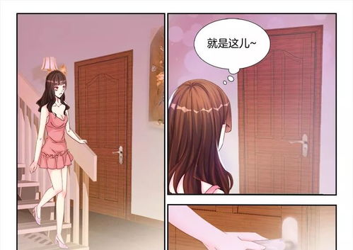 赘婿崛起，赘婿老公竟是帝豪总裁--第1张