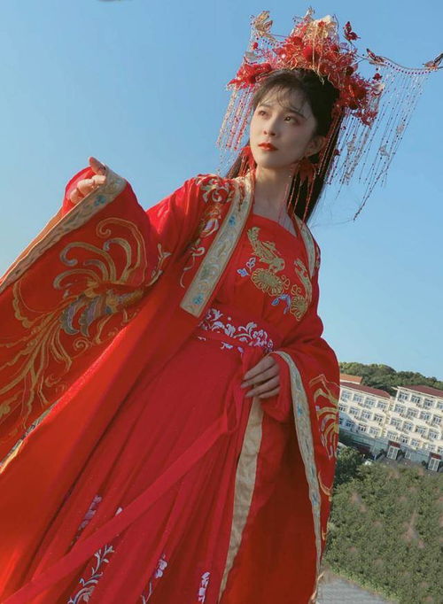 权宠毒妃钟熙热播短剧剧情 权宠毒妃钟熙热播短剧剧情介绍--第1张