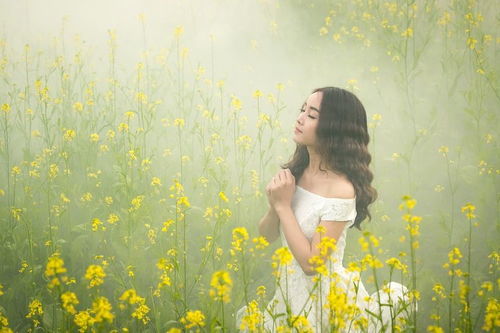 凌少夫人罪不至死，凌少的神秘身份--第1张