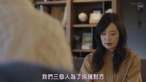 悬疑短剧，迷雾中的真相追寻--第1张