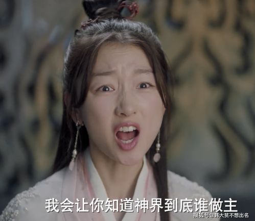 影后老婆超全能免费阅读 影后老婆离婚后我火遍全网热播短剧剧情--第1张