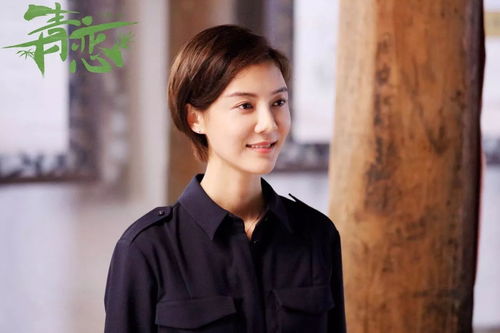 羽翼天下分集剧情介绍--第1张