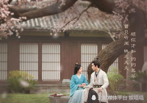 叶家弃少，逆袭之路--第1张