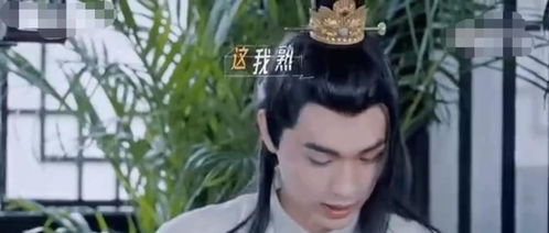 我靠躺赢火爆修真界免费阅读 我靠躺平母仪天下，热播短剧剧情解析--第1张