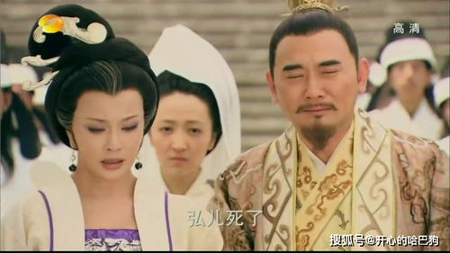 皇太子监国，20年的权谋与抉择--第1张