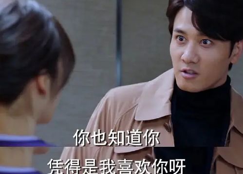 虐完我霸总追妻火葬场，爱妻已悔，请多指教--第1张