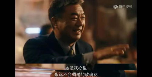 重生我的繁花时代女儿唾弃我的坟墓热播短剧剧情 --第1张