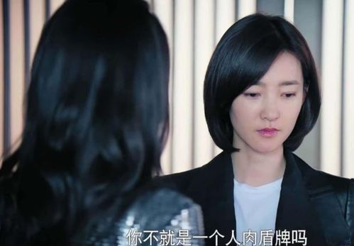 痴情错付热播短剧剧情介绍 痴情错付，一部热播短剧剧情的深度剖析--第1张