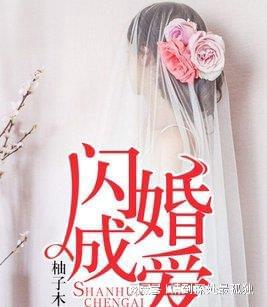 闪婚后爱 闪婚后她带萌娃惊艳全球热播短剧剧情--第1张