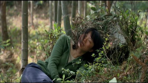 抓个妖怪当老婆，妖怪男友的日常--第1张
