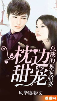 靳少宠妻，月光下的秘密--第1张