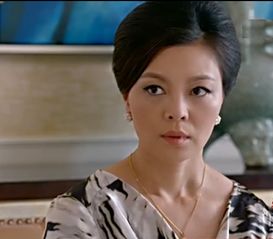 傅总夫人又闹离婚 傅总夫人她是冤枉的热播短剧剧情--第1张