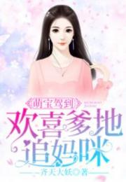 萌宝驾到，爹地追妻超级甜--第1张