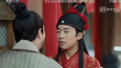 赘婿天子热播短剧剧情 电视名:赘婿--第1张