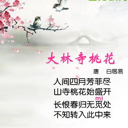 人间芳菲四月天热播短剧剧情 人间芳菲人间四月芳菲尽--第1张