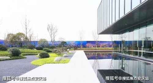 战凰热播短剧，一场关于爱情与权力的较量--第1张