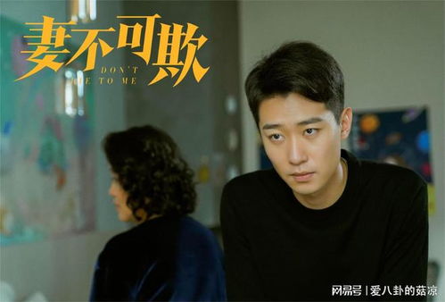 妻不可欺啥意思 短剧揭秘，妻无可欺--第1张