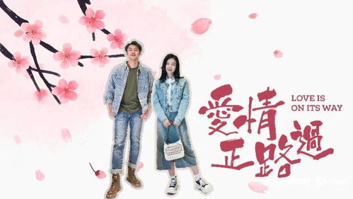 狼婿下山热播短剧剧情介绍 狼婿下山，热播短剧剧情解读--第1张