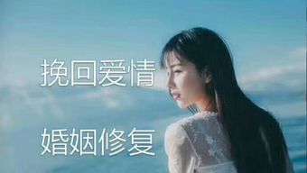  婚后爱人你是我的光芒--第1张