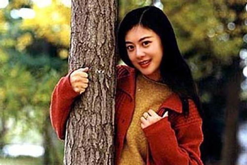 被离婚以后小说 离婚后我被美女包围了——热播短剧剧情--第1张